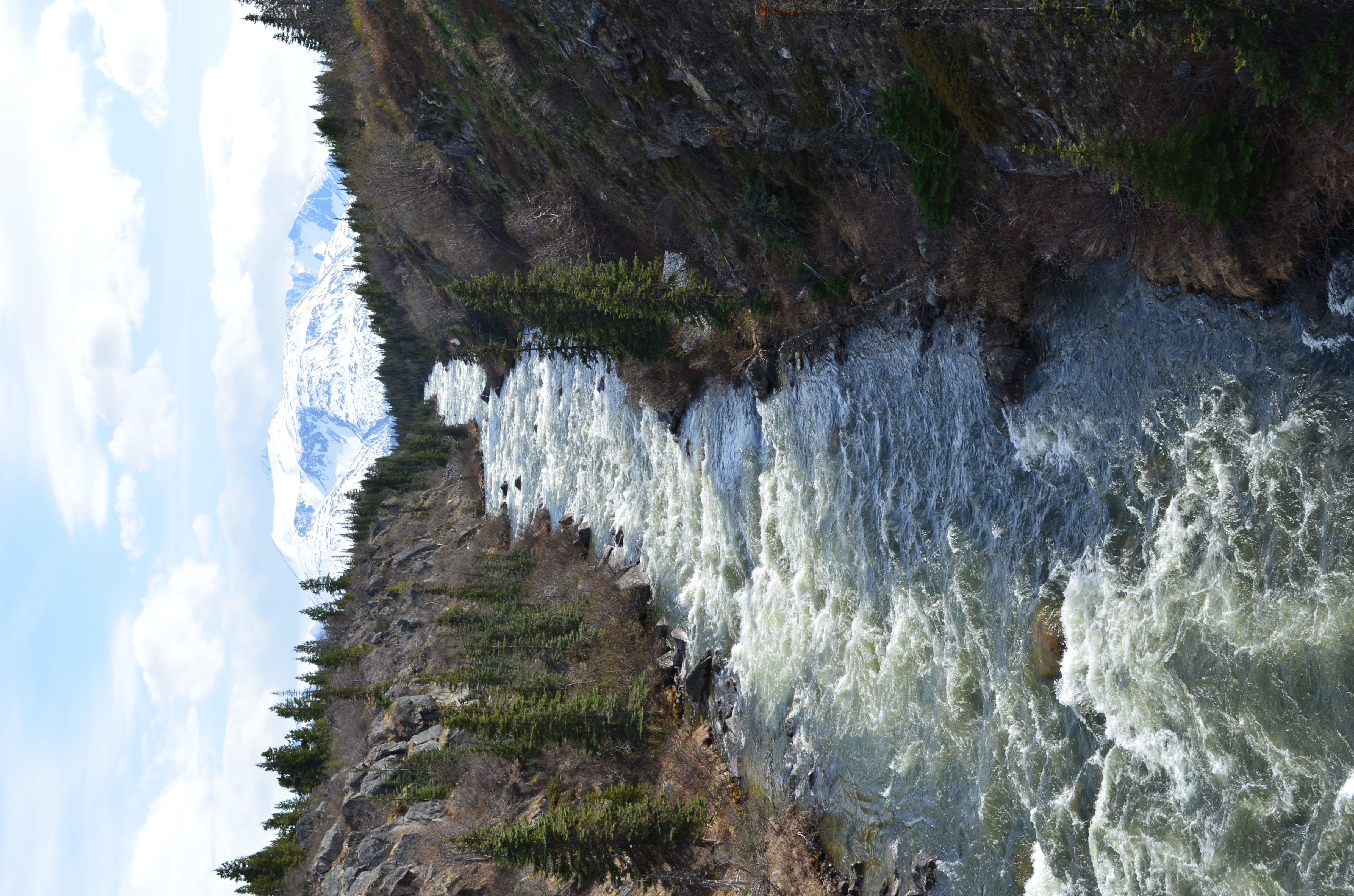 ./2017/08 - Alaska Cruise/09 - Skagway/DSC_0092.JPG
